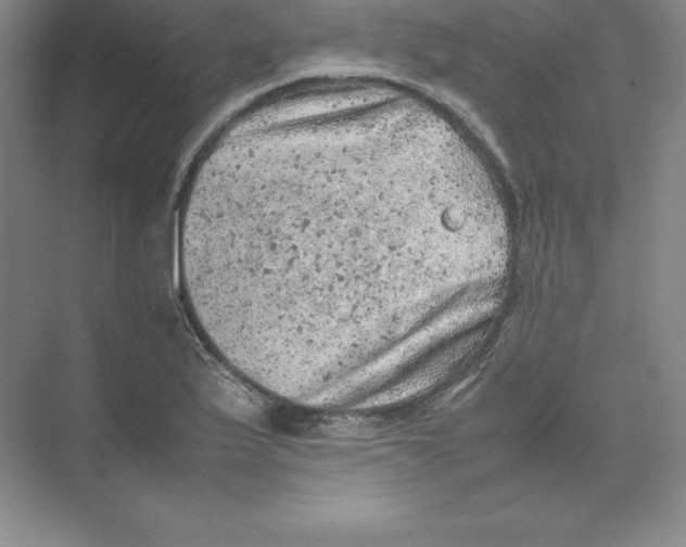 X0000074031175200609181919