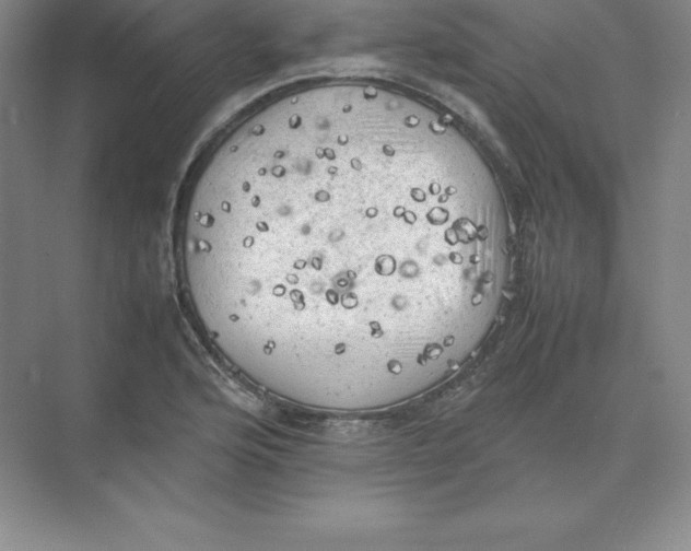 X0000074031176200609181919