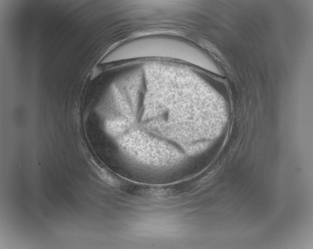 X0000074031177200609181919