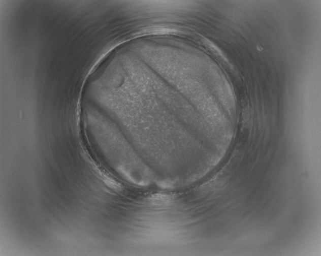 X0000074031178200609181919