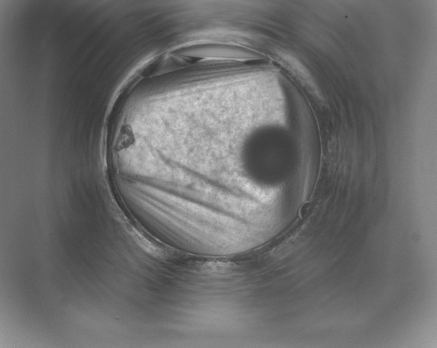 X0000074031180200609181919