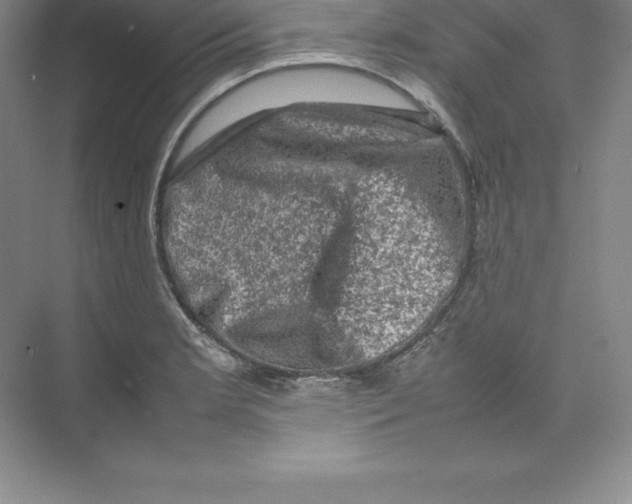 X0000074031181200609181919