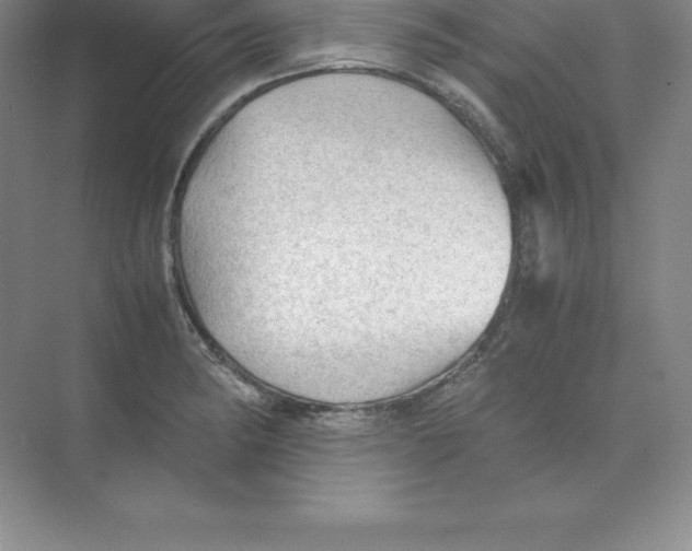 X0000074031182200609181919