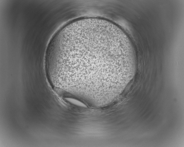 X0000074031183200609181919