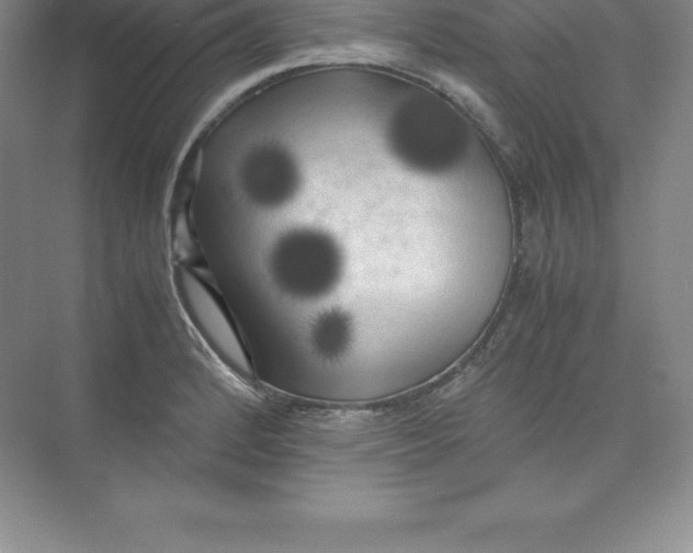 X0000074031184200609181919