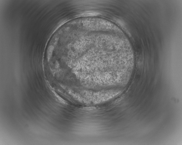 X0000074031186200609181919