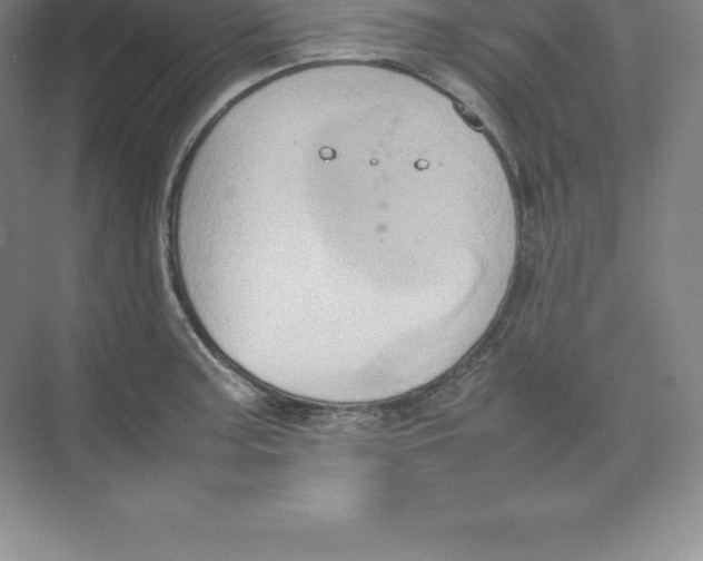 X0000074031187200609181919