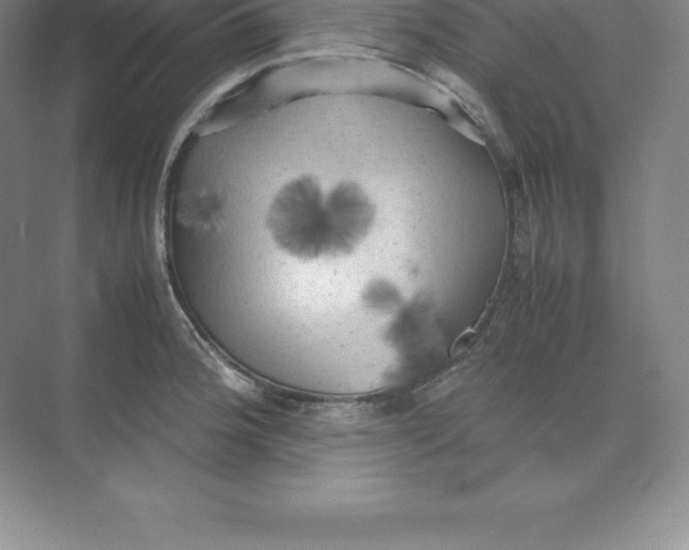 X0000074031188200609181919