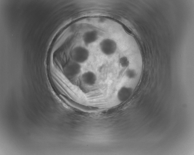 X0000074031189200609181919