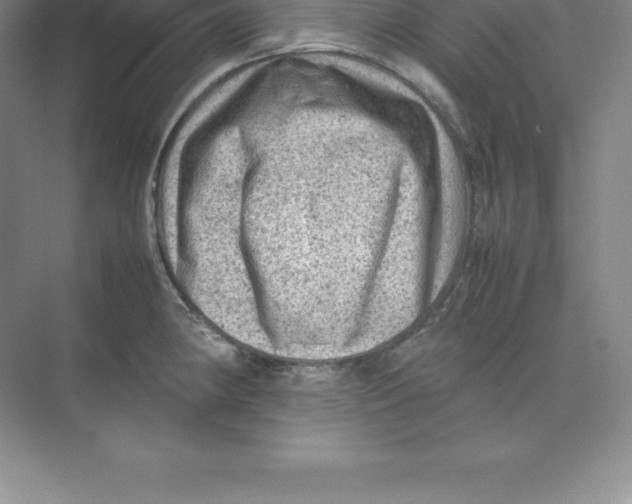 X0000074031190200609181919