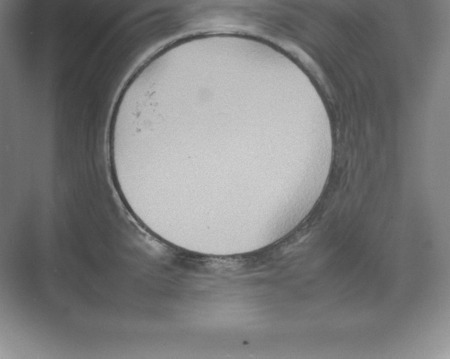 X0000074031191200609181919