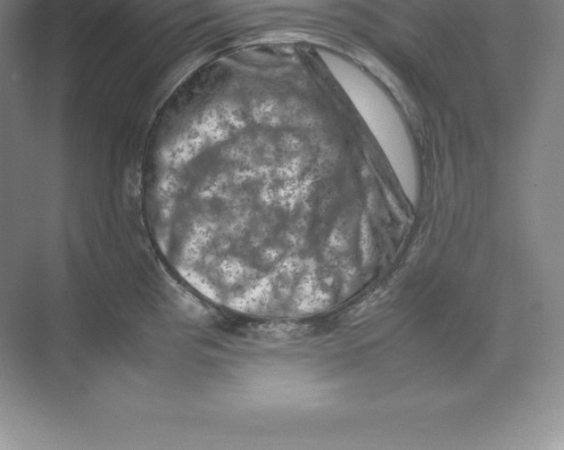 X0000074031193200609181918