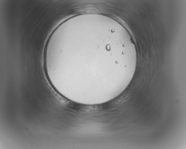 X0000074031195200609181918