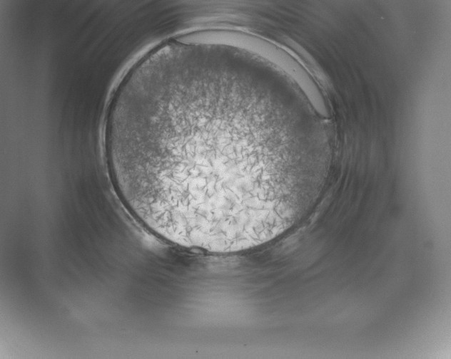 X0000074031196200609181918