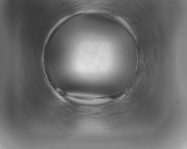 X0000074031197200609181918