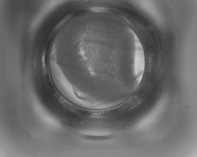 X0000074031198200609181918