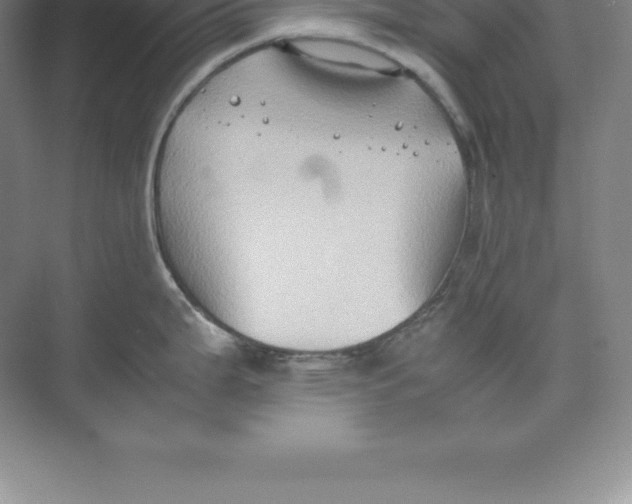 X0000074031199200609181918