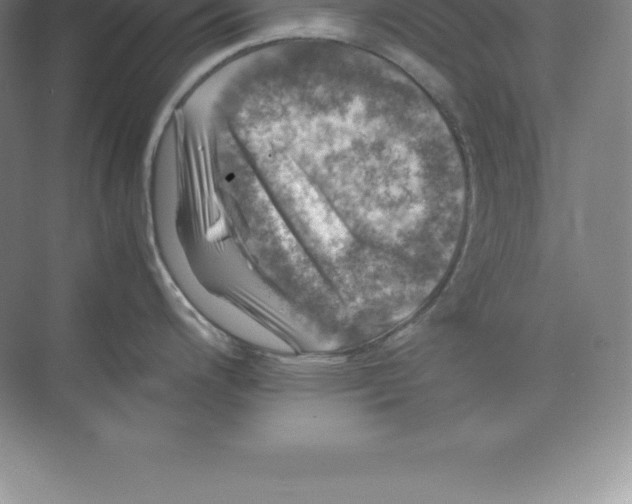 X0000074031200200609181918