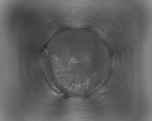 X0000074031202200609181918