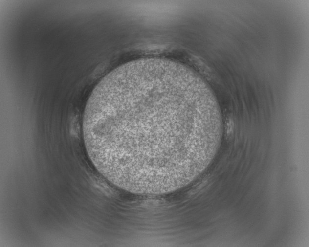 X0000074031204200609181918