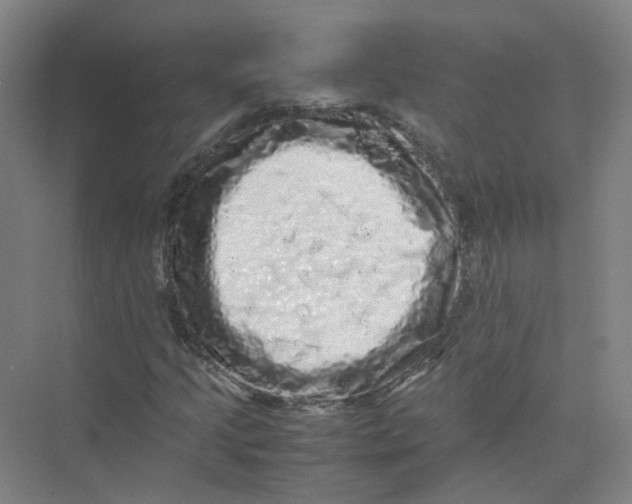 X0000074031205200609181918