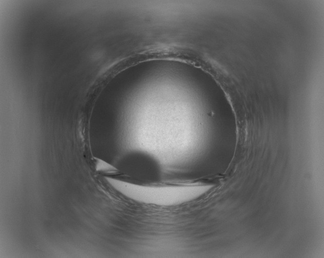 X0000074031206200609181918