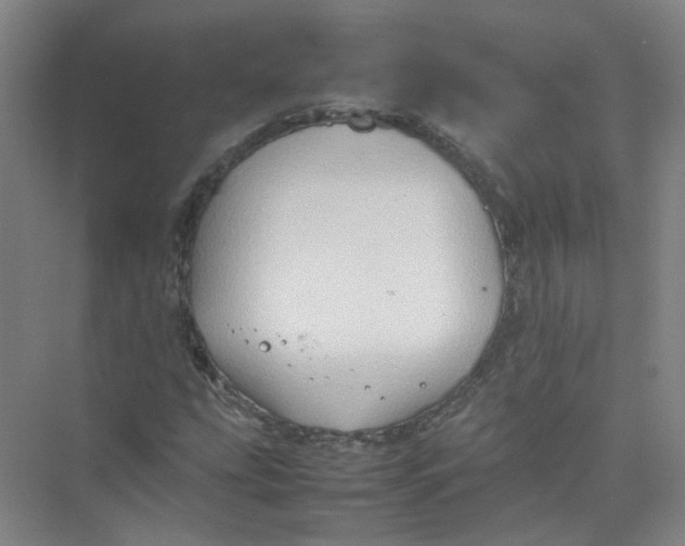 X0000074031207200609181918