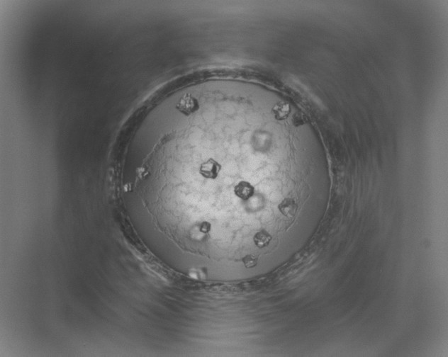 X0000074031208200609181918