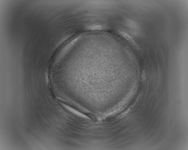 X0000074031209200609181918