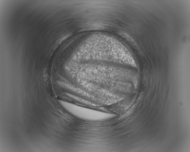 X0000074031210200609181918