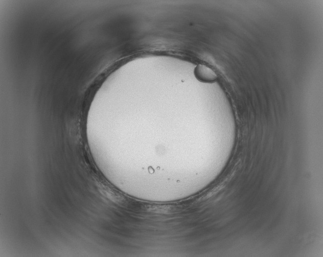 X0000074031211200609181918