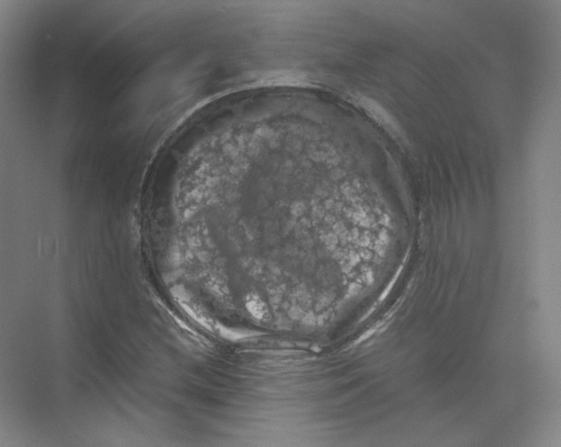 X0000074031212200609181918