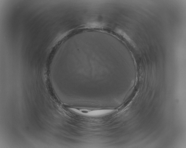 X0000074031213200609181918