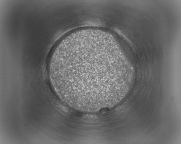 X0000074031215200609181918