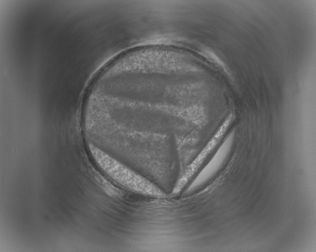 X0000074031216200609181918