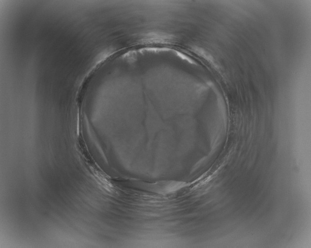 X0000074031219200609181918