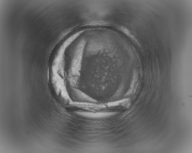 X0000074031221200609181918