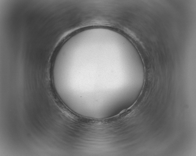 X0000074031222200609181918