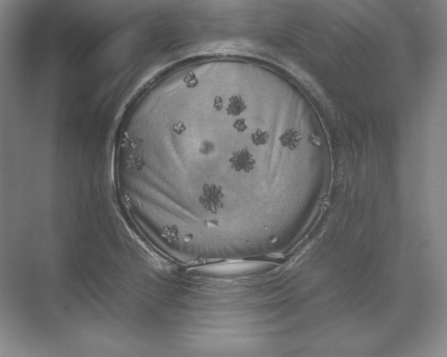 X0000074031224200609181918