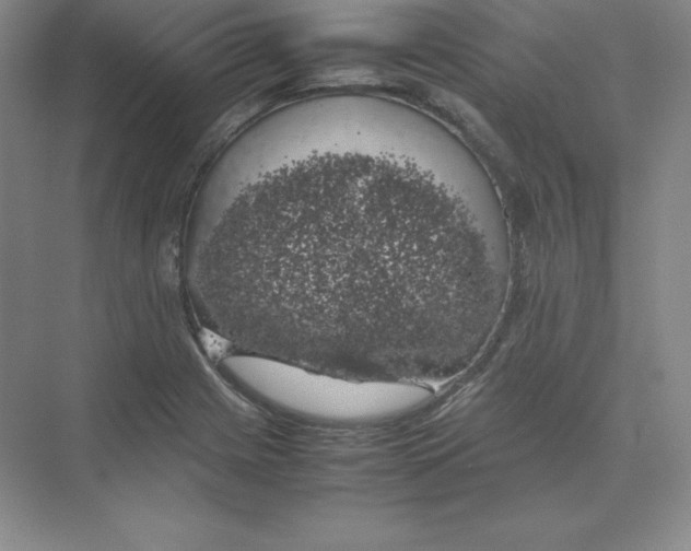 X0000074031225200609181918