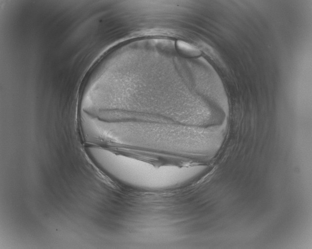 X0000074031228200609181918