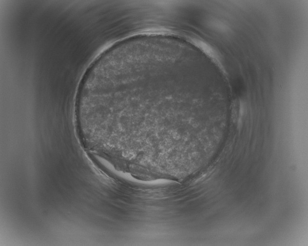 X0000074031229200609181918