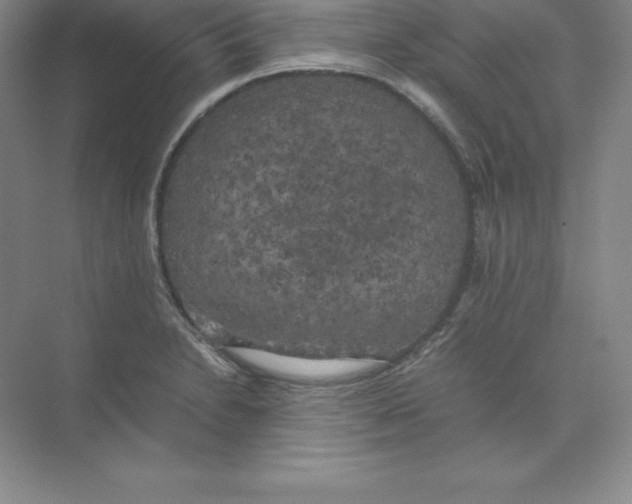 X0000074031230200609181918