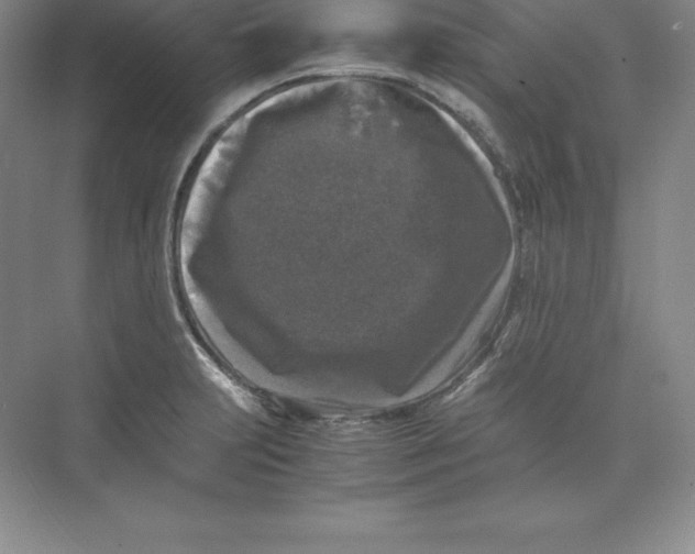 X0000074031231200609181918