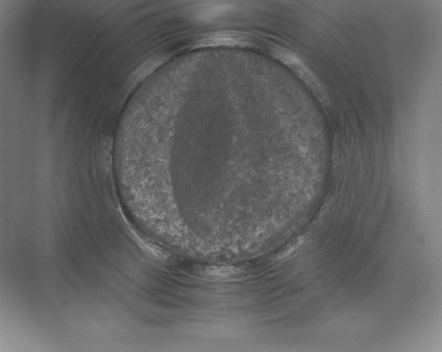 X0000074031233200609181918