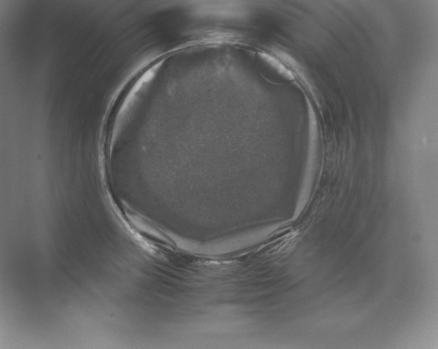 X0000074031235200609181918