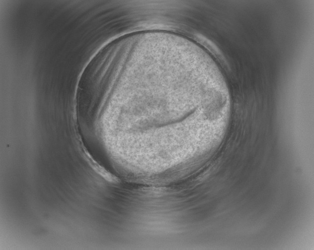 X0000074031236200609181918