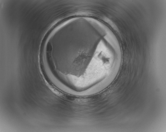 X0000074031237200609181918