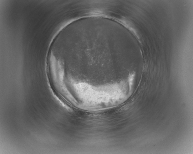 X0000074031239200609181918