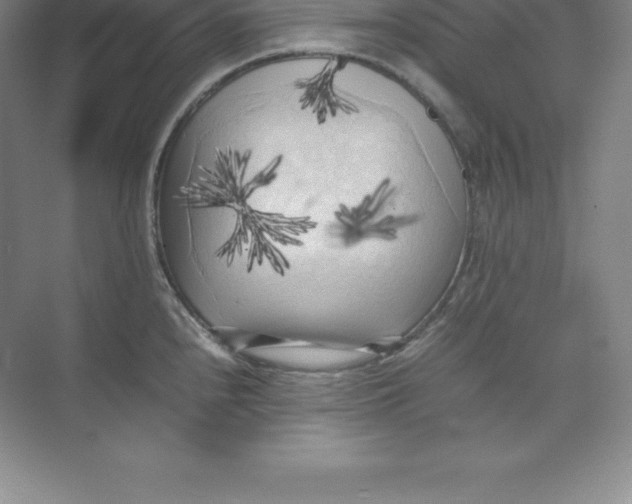 X0000074031240200609181918